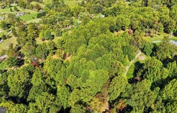 8899 HAWBOTTOM Road, MIDDLETOWN, MD 21769