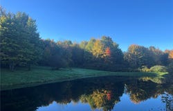 Schribner Road N, Springwater, NY 14560
