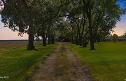 10136 N Nc 42 E, Tarboro, NC 27886