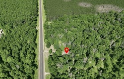 20832 Caberfae Highway, Wellston, MI 49689