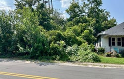 Hampton St, Elloree, SC 29047