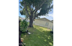 209 Lone Pine Drive, Edgewater, FL 32132