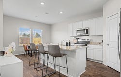 18517 Cremello Dr, Manor, TX 78653
