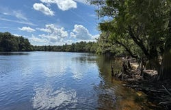 1225 NE 519th Ave, Old Town, FL 32680