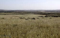 Lindstrom Road, Shepherd, MT 59079