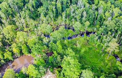 0-B Mt Carmel Road, Walterboro, SC 29488