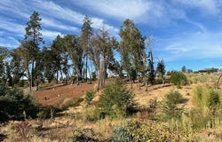 5709 Middle Libby, Paradise, CA 95969