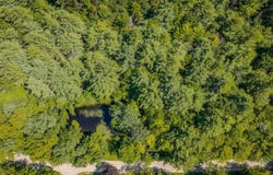 Trebo Road, Chester, VT 05143