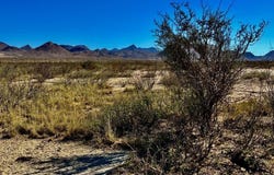 TR:9037 Highlander Rd., Terlingua, TX 79852