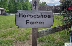 1984 Horseshoe Rd, Westfield, NC 17053