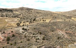 Dan Creek Road, Shelley, ID 83274