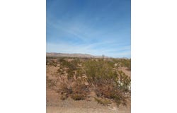 Van Horn, TX 79855