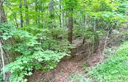 Savannah Drive lot: 17, West Jefferson, NC 28694