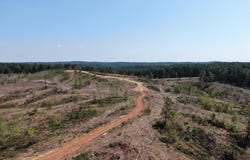 350 Baumann Road, Hickory Flat, MS 38633