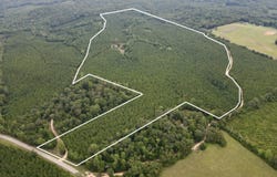Walker Springs Road, Tract D, Jackson, AL 36545