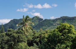 6546-D KUAMOO RD, Kapaa, HI 96746