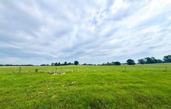 CR 2320 lot: 62, Pittsburg, TX 75686