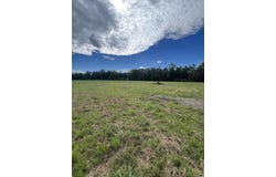 18 Blackbird Ln, Petal, MS 39465