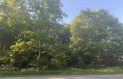 M69 Highway, Sagola, MI 49881