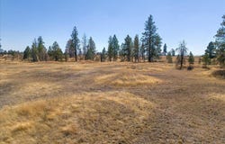 36377 S Bootstrap Ln, Cheney, WA 99004