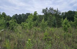 144 Colleton Lane, Clinton, SC 29325