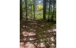 CR 23C, Jewett, NY 12444