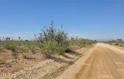 173rd E W-12, Llano, CA 93544