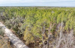 Live Oak, FL 32060