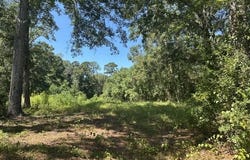 3436 University Ave, LAUREL, MS 39440