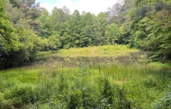 Ellijay, GA 30540