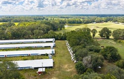 County Road 623, Enterprise, AL 36330