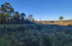 Haralson Lane, Forest, MS 39074