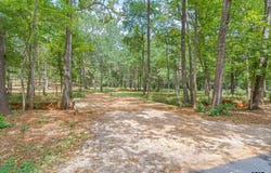 Willingham Rd, Whitehouse, TX 75791