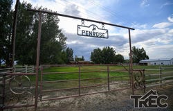 1040 Road 1, Powell, WY 82435