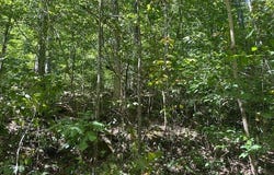 6360 Wilder Hwy lot: 364A, Wilder, TN 38589
