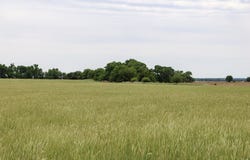 918 NW30RD, Attica, KS 67009