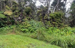 Volcano, HI 96785