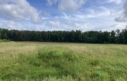 Tumbling Creek, GLEASON, TN 38229