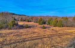 FM 3206, St Jo, TX 76265