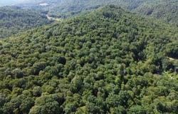 Stickney Brook Road, Dummerston, VT 05301