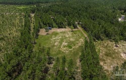 8822 Naturewalk Dr, Jay, FL 32565
