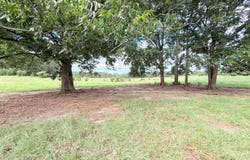 Tbd 1 Montgomery Road, Bogue Chitto, MS 39629