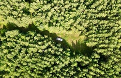Piney Green Road, Blackstone, VA 23930