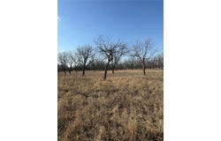 1209 County Road 416, Comanche, TX 76442