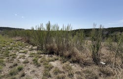 PR 2775, Mico, TX 78056