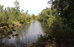 12579 Beneux Bottom RD, Mulberry, AR 72947