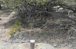207 Wolf Creek Rd, South Fork, CO 81154