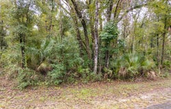 116TH ST, Live Oak, FL 32060