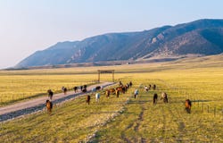 Sheep Mountain Road, Centennial, WY 82055