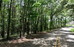 Brookwood Rd, Adger, AL 35444